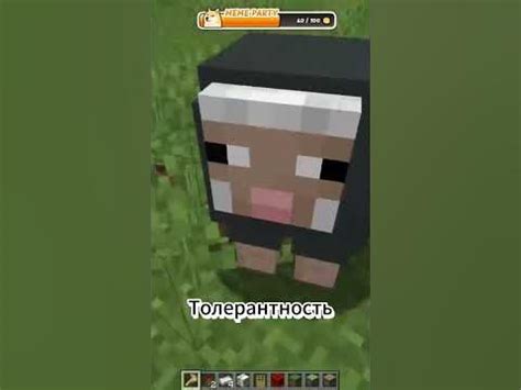 Прикол с овцой в Minecraft