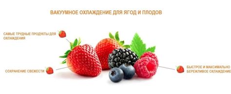 Применение вакуумного охлаждения