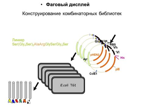 Применение осмия в научных исследованиях