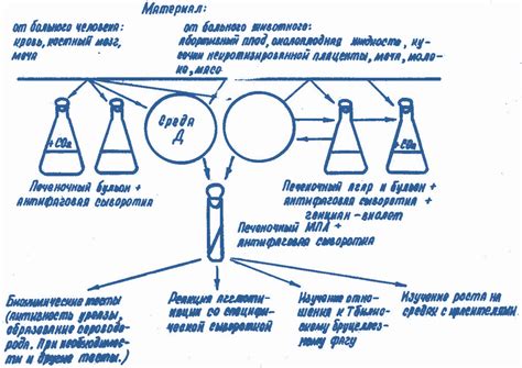 Применение результатов реакции