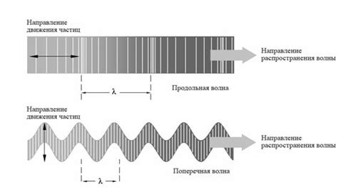 Применение ультразвуковых волн