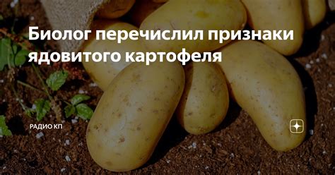 Применение ядовитого картофеля в бою