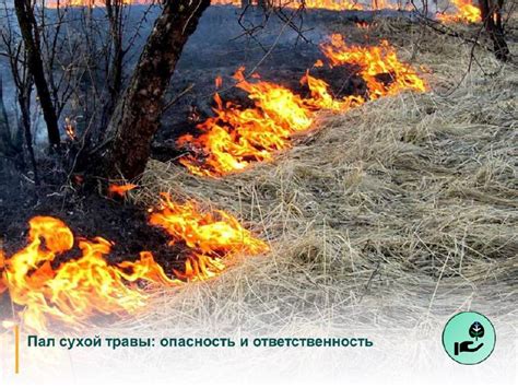 Примеры известных пожаров, связанных с воздействием пламени на металлы