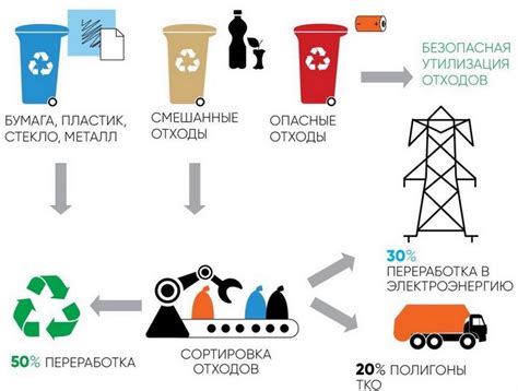 Примеры использования растений-очистителей в промышленности