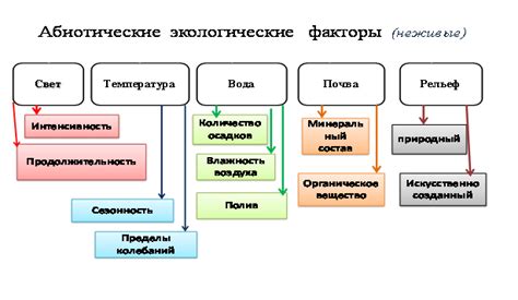 Примеры полезных команд на бирки и их воздействие на геймплей