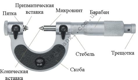 Примеры применения микрометра в стоматологии