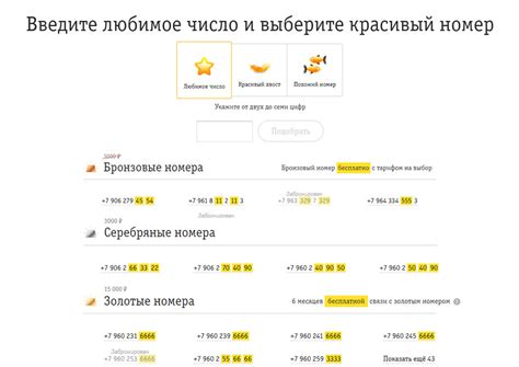 Примеры телефонных номеров ответственных лиц