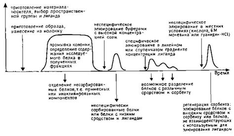 Принципы металл аффинной хроматографии