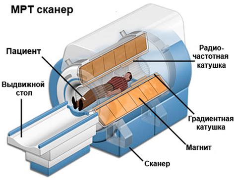 Принципы работы МРТ с подавлением металла