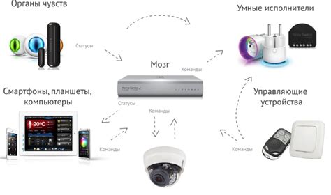 Принципы работы бездоменной технологии