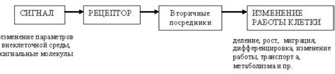 Принципы реакции