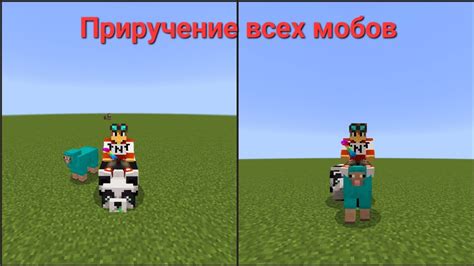 Приручение гиппокампов в Minecraft