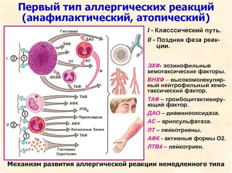 Причины аллергических реакций на металлы: как избежать неприятных последствий