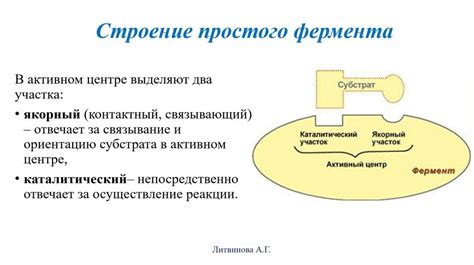 Причины и механизм взаимодействия