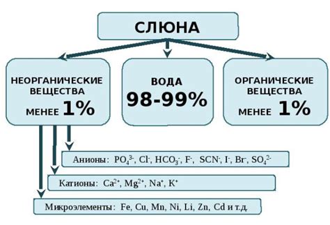 Причины и симптомы избыточного слюноотделения