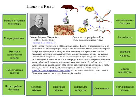 Причины открытия микромира