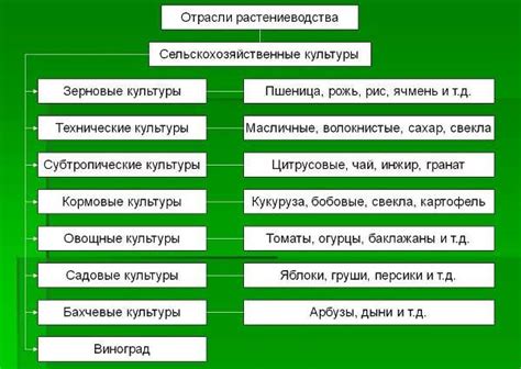 Проблемы и перспективы отрасли