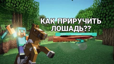 Проблемы с версией Minecraft: