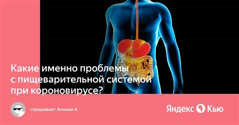 Проблемы с пищеварительной системой: как пища может стать причиной