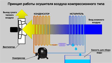 Проверка и настройка работы осушителя