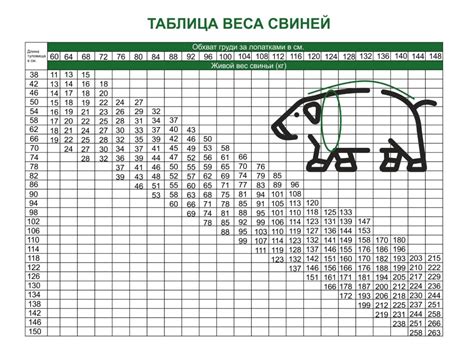 Прогнозирование веса по размерам и форме