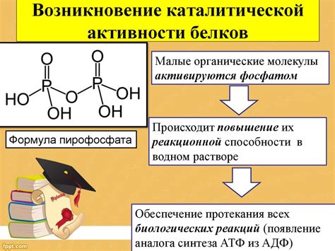 Прогнозирование потенциальной активности белков