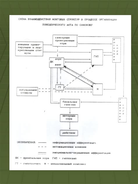 Программирование поведения лампы