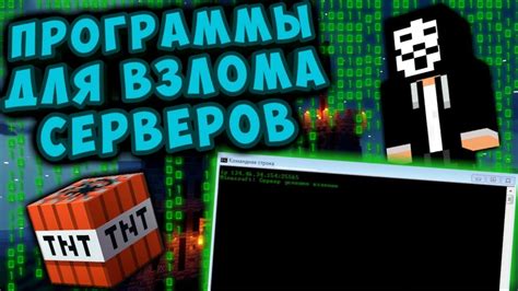 Программное обеспечение для взлома серверов: выбираем лучшую программу