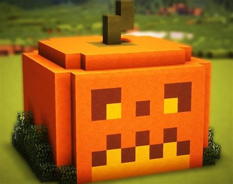 Продолжительность роста тыквы в Minecraft и особенности выращивания