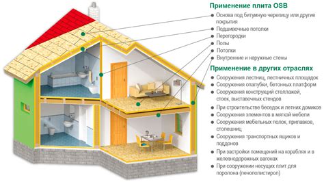 Происхождение и основные характеристики