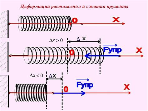 Происхождение упругости