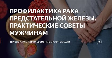 Профилактика застуженной предстательной железы