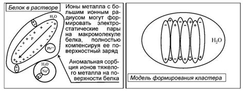 Профилактика и защита от воздействия тяжелых металлов на ферменты