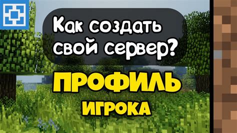 Профиль игрока Майнкрафт: общая информация