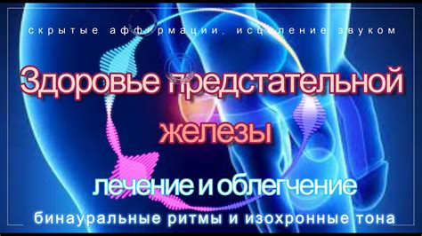 Процедуры и операции при оперативном лечении проблем предстательной железы