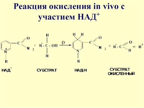 Процессы окисления и восстановления с участием щелочных металлов