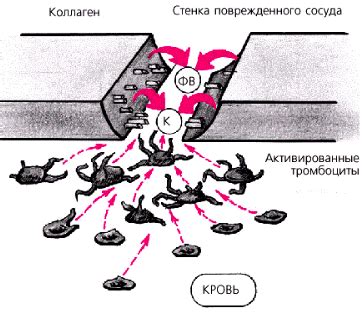 Процесс адгезии ротбанда к металлу