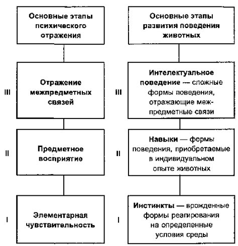 Процесс алюминотермии: стадии и механизмы