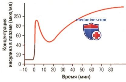 Процесс выделения инсулина