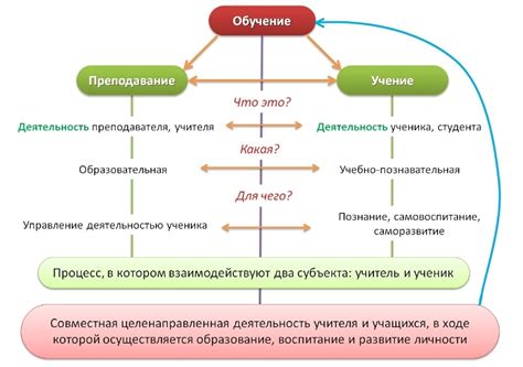 Процесс обучения и получение квалификации