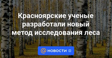 Процесс поиска и исследования леса вампиров