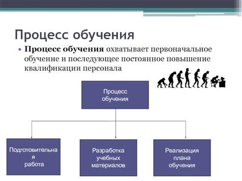 Процесс приручения и последующее обучение