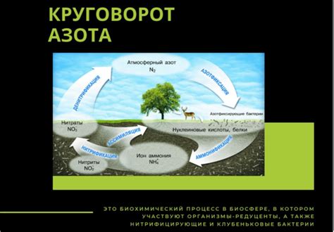 Процесс разложения металла в природных условиях