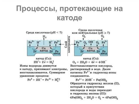 Процесс реакции и основные этапы