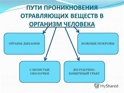 Пути попадания в организм