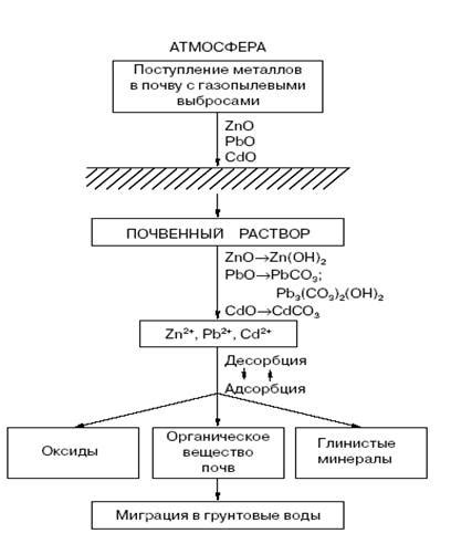Пути попадания тяжелых металлов в почву