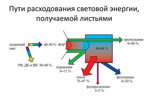 Пути решения проблемы влияния токсичности тяжелых металлов на водоемы