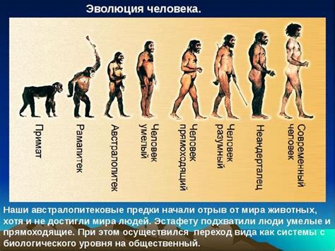 Развитие ковки в истории человечества