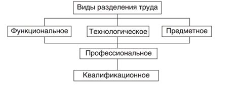 Разделение на виды