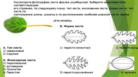 Раздельная и фрикционная природа